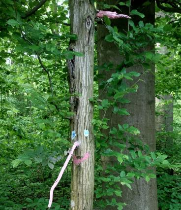 Vater-Kind-Entdeckertag 🌳🌳